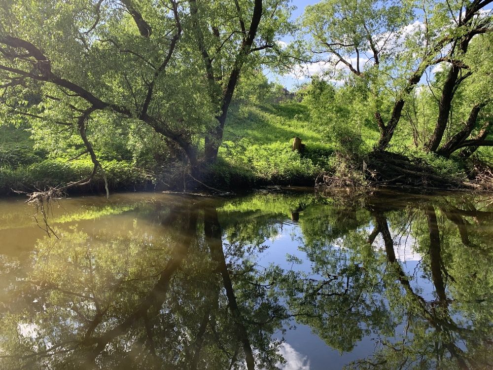 Photograph by Евгения