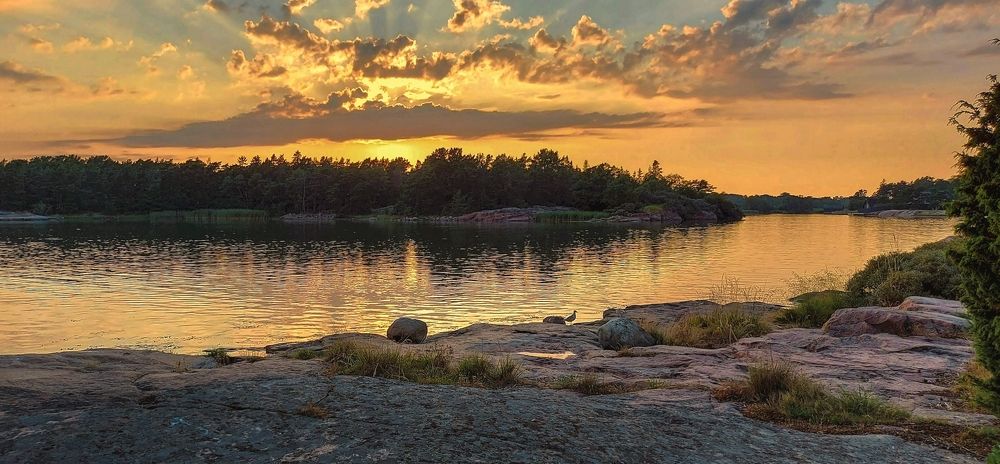 Photograph by Epp Tappel