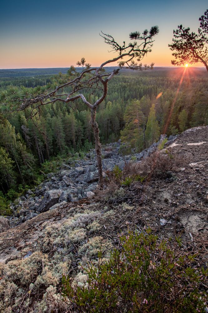 Photograph by Александр Кузнецов