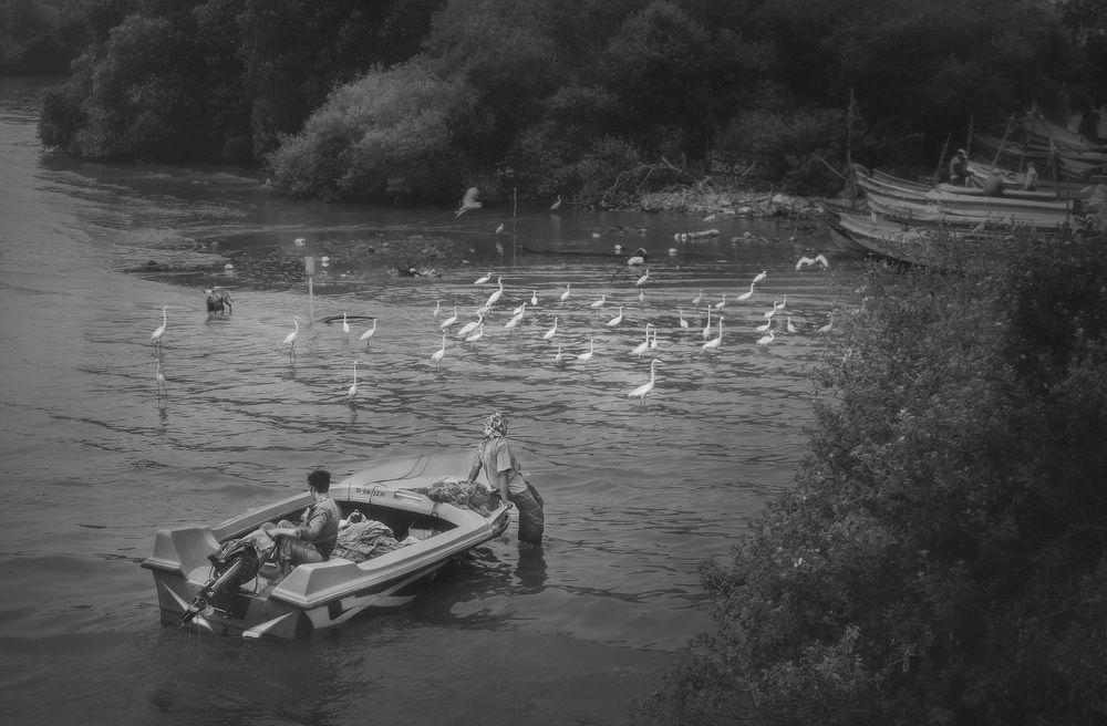 Photograph by Thusara Dilshan