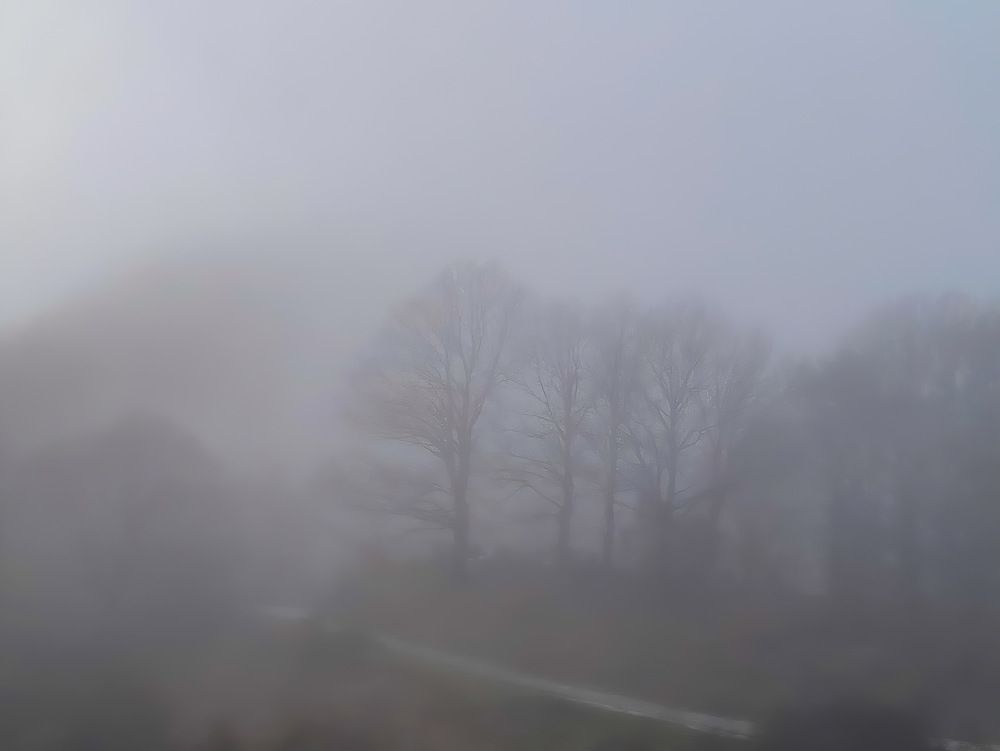 Foggy November 1