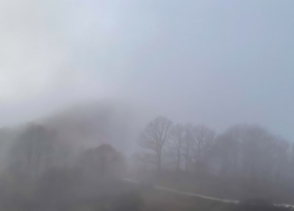 Foggy November 2
