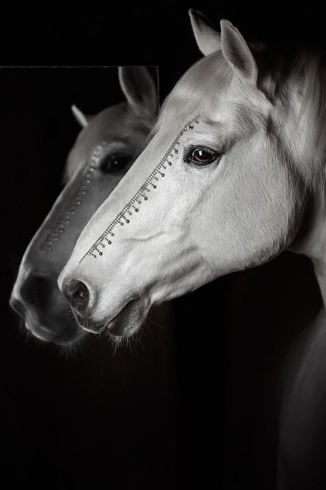 Photograph by Дарья Ералева