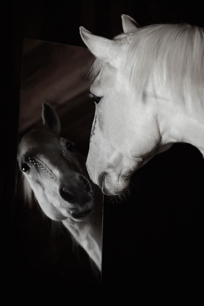 Photograph by Дарья Ералева