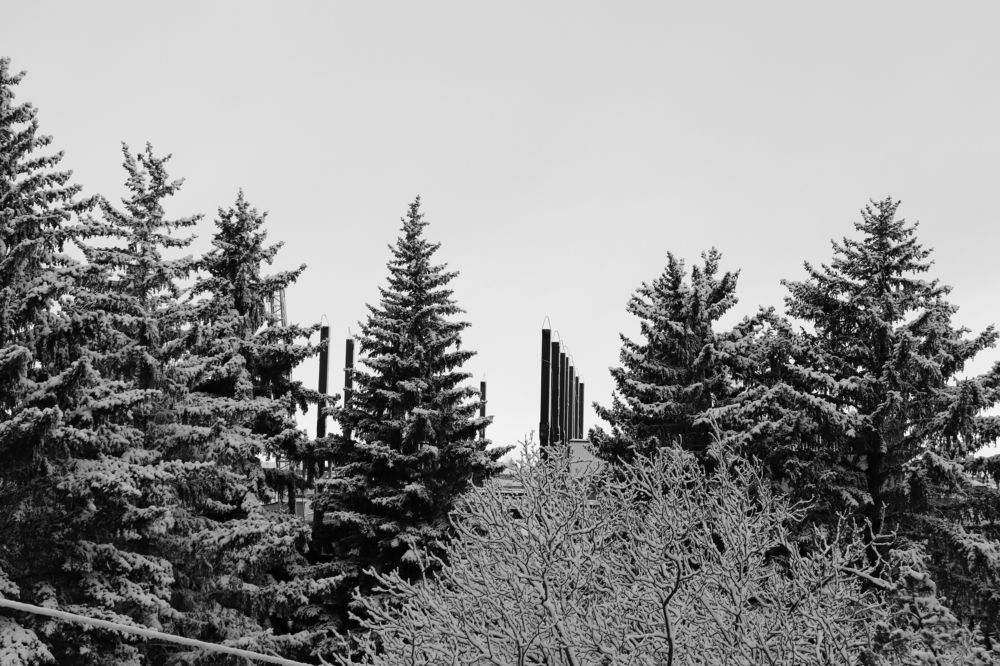 Фотография автора Ashik Hovhannisyan