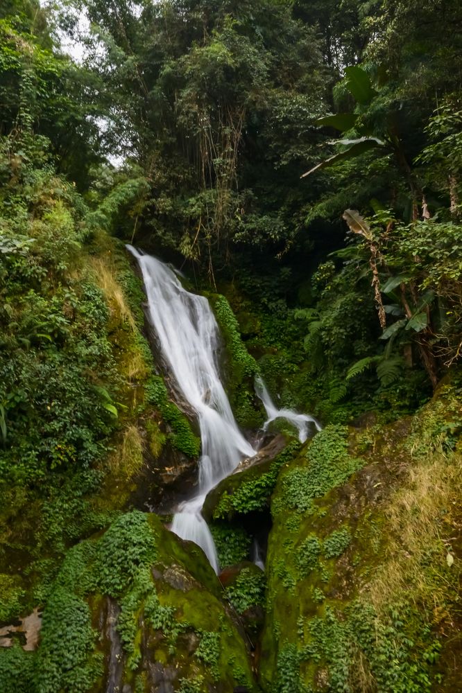 Butterfly Waterfalls