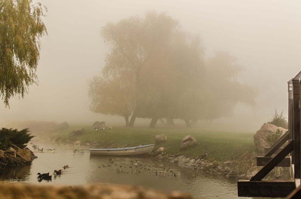 Photograph by Алиса Володченкова