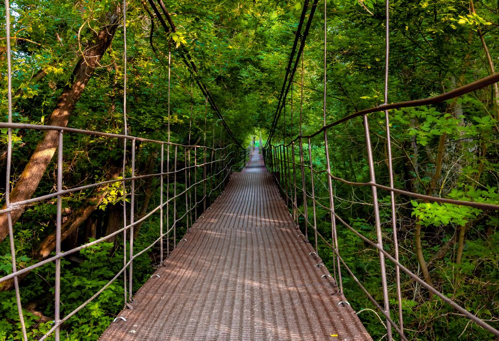 Фотография автора Антон Караваев