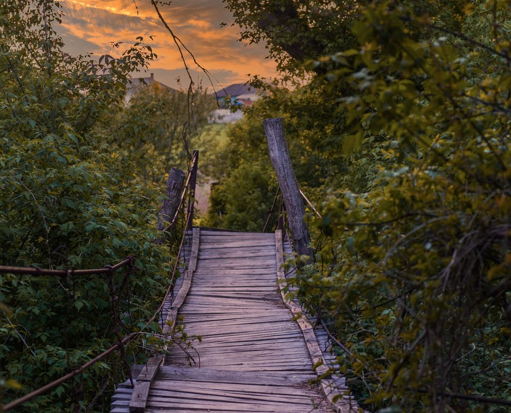 Фотография автора Антон Караваев