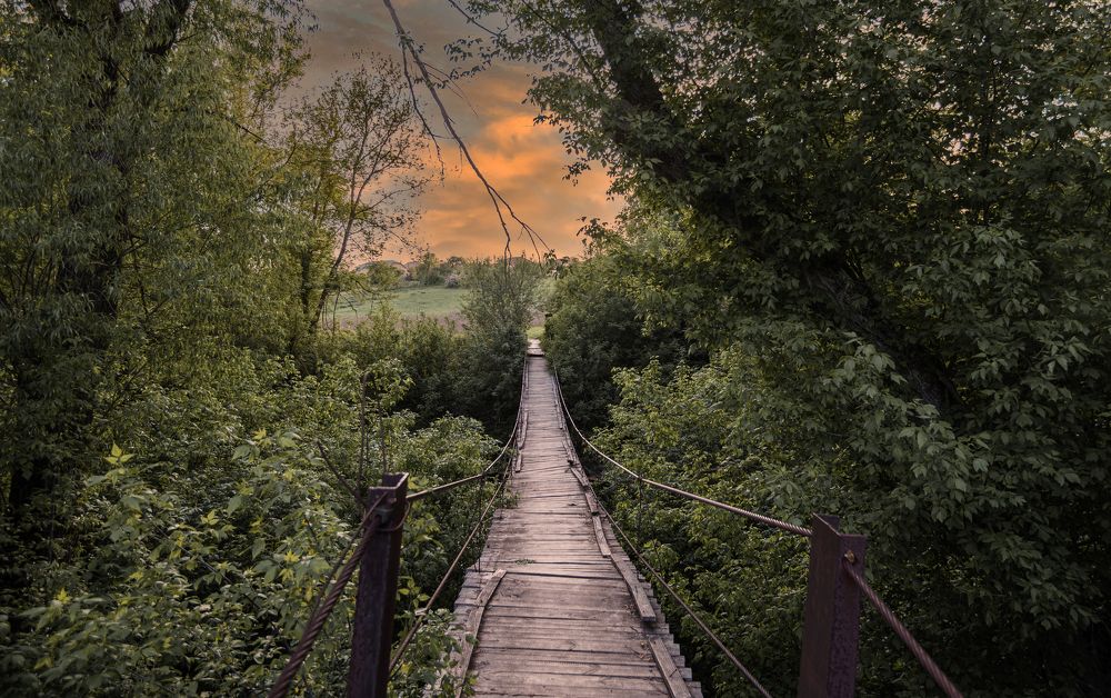 Фотография автора Антон Караваев