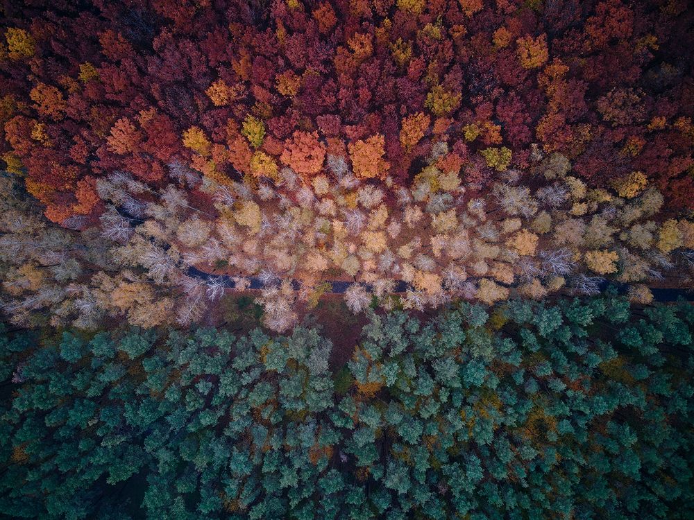 Photograph by Lonely_black_Cat