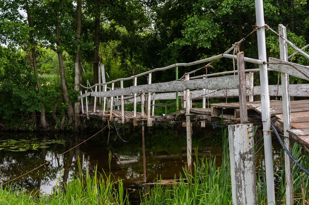 Фотография автора Антон Караваев