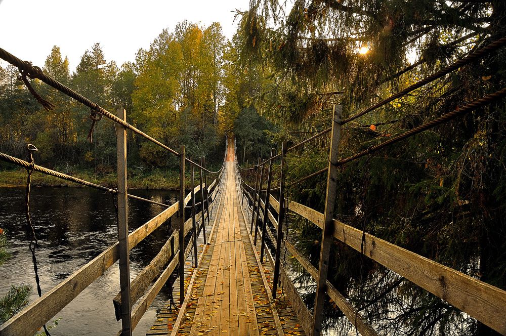 Photograph by Игорь Овсиенко