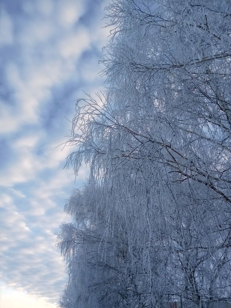 Photograph by Мария