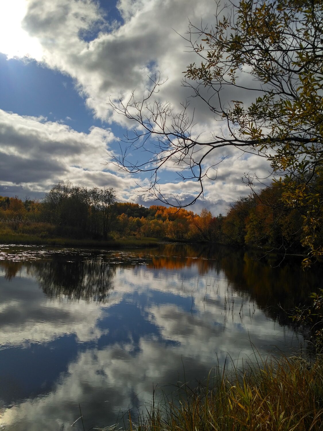 Photo #6826933