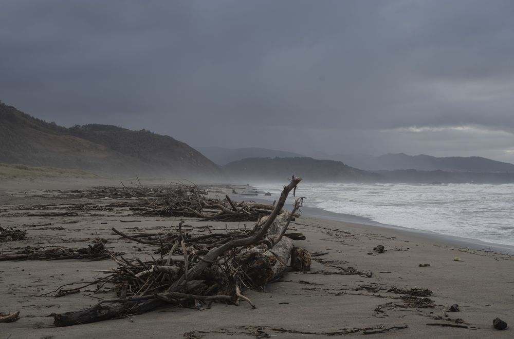 Фотография автора Fernando Comeche