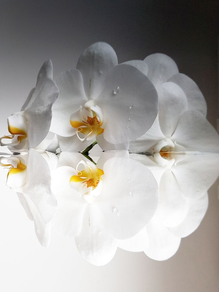 Photograph by Татьяна Яркович