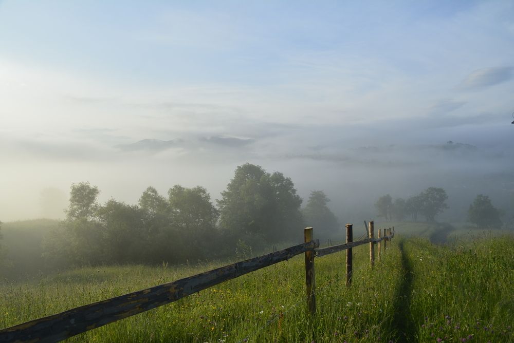 Photograph by Ольга