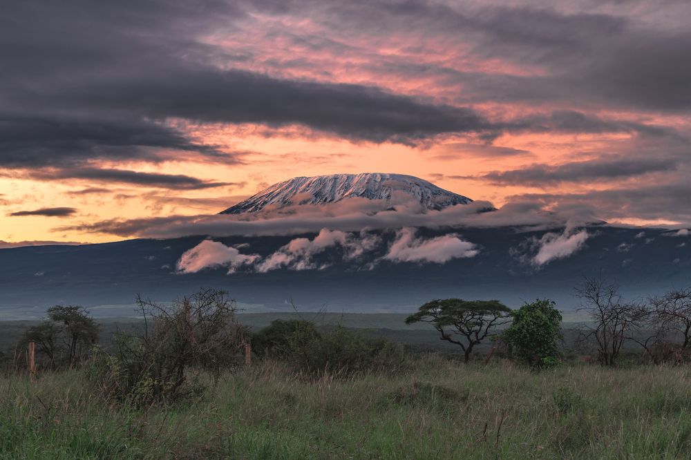 Photograph by Дмитрий Николаев