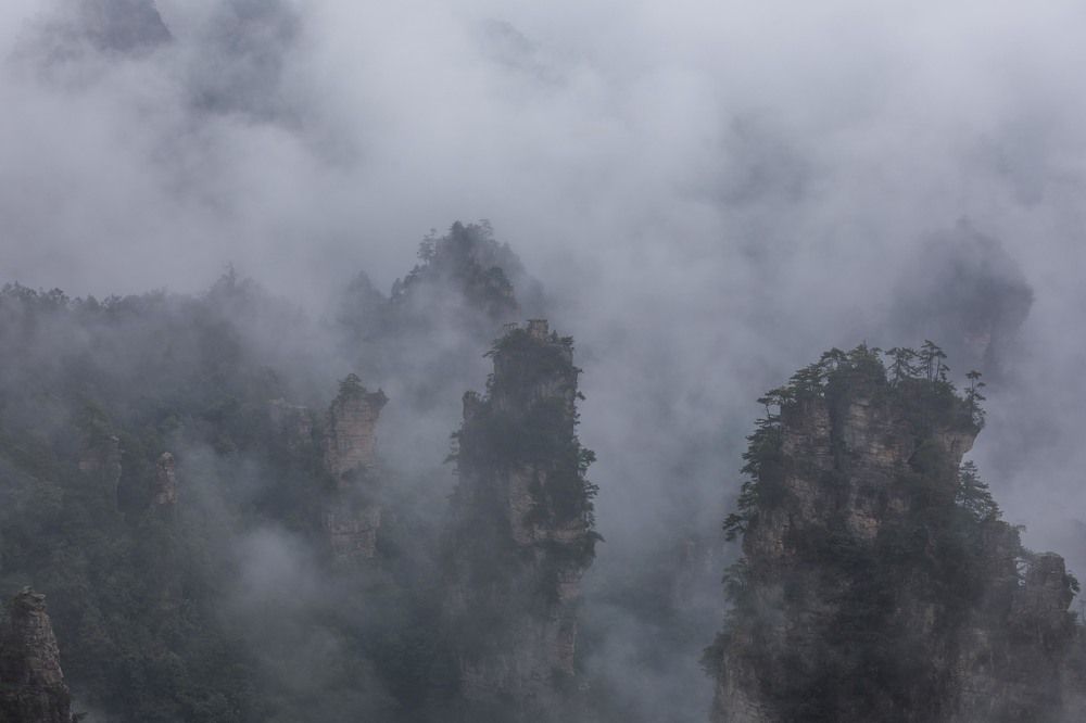 Photograph by Илья Поляк