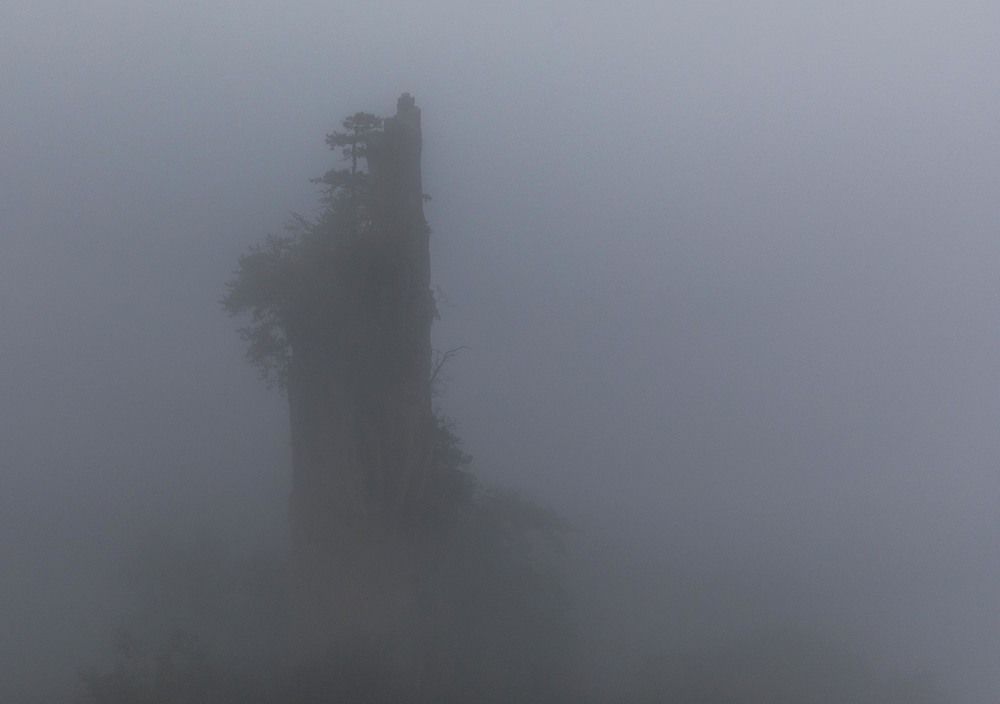 Photograph by Илья Поляк