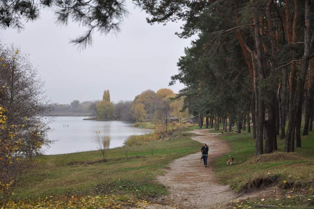 Photograph by Галина Лысых