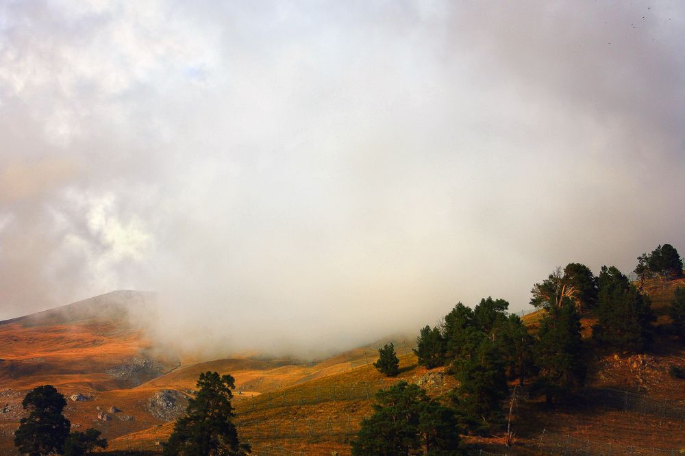 Photograph by Татьяна Абрамова