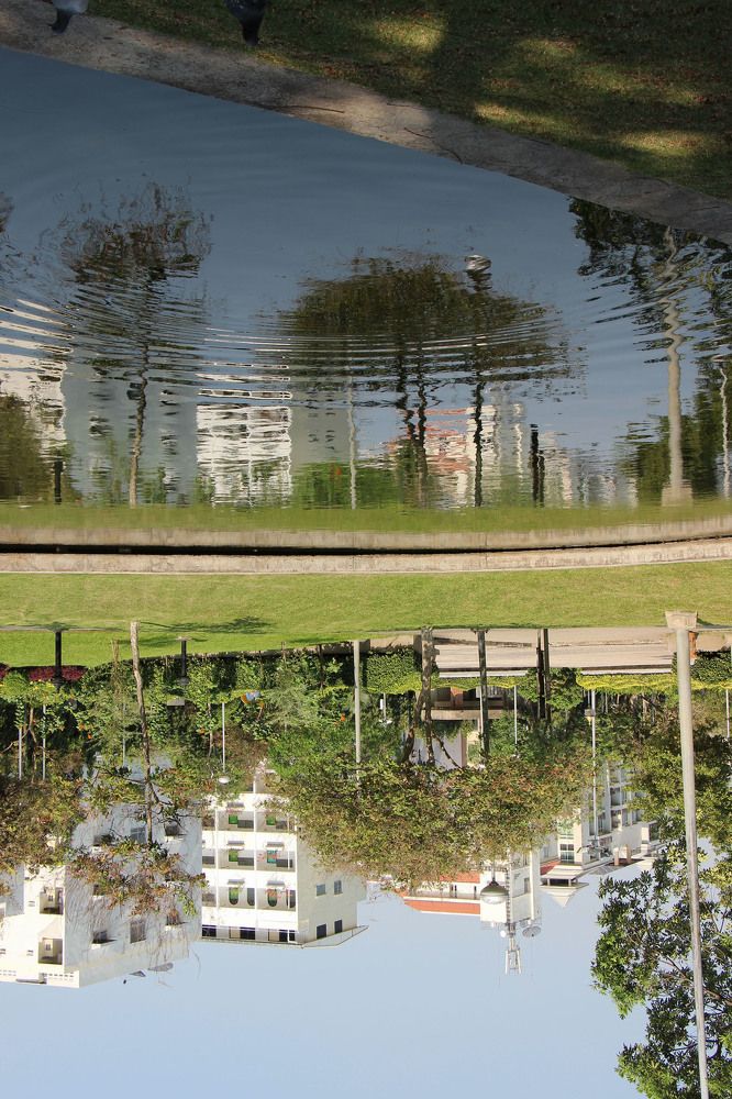 Photograph by Елена Курганская