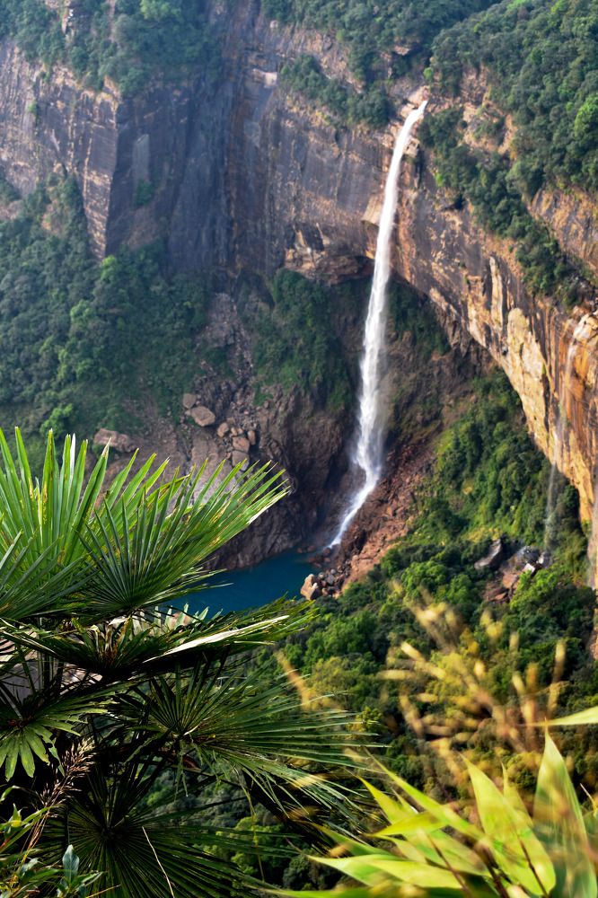 Photograph by Kamal Bhattacharjya