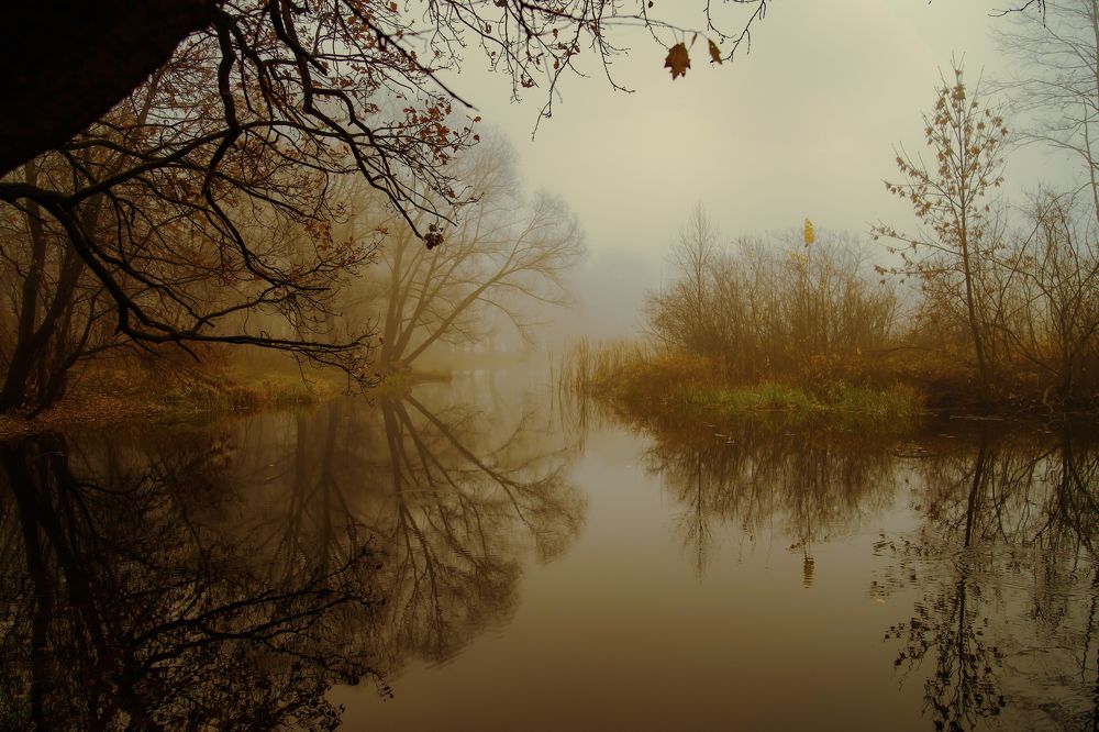 Photograph by Алексей Шевченко