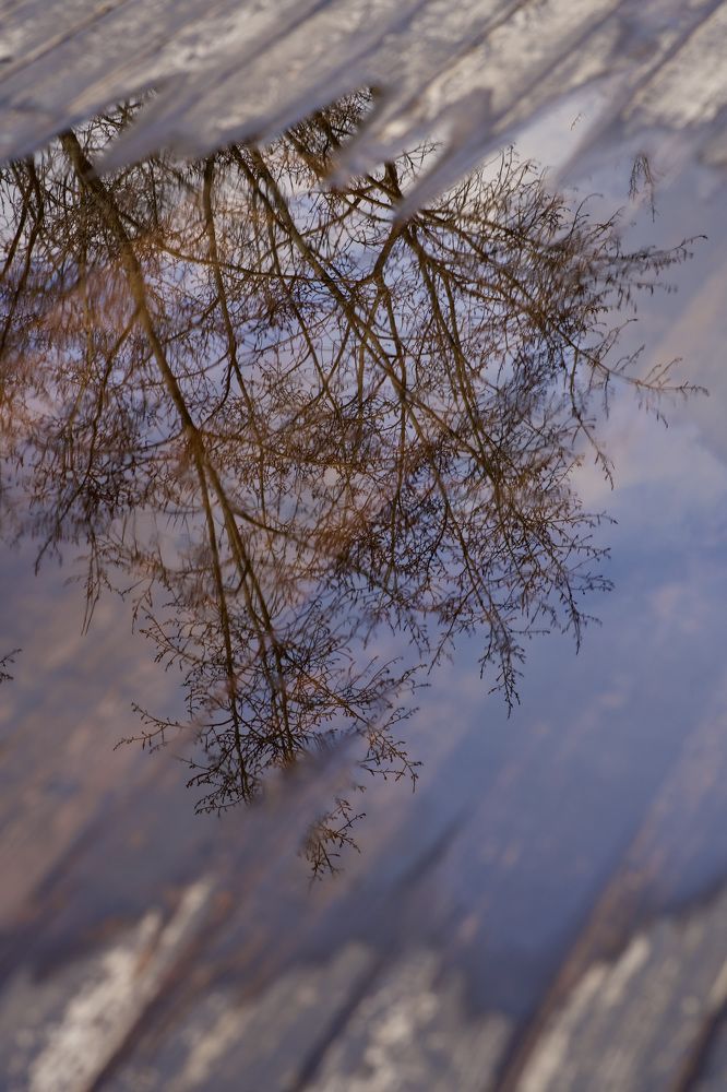 Photograph by Алексей Шевченко