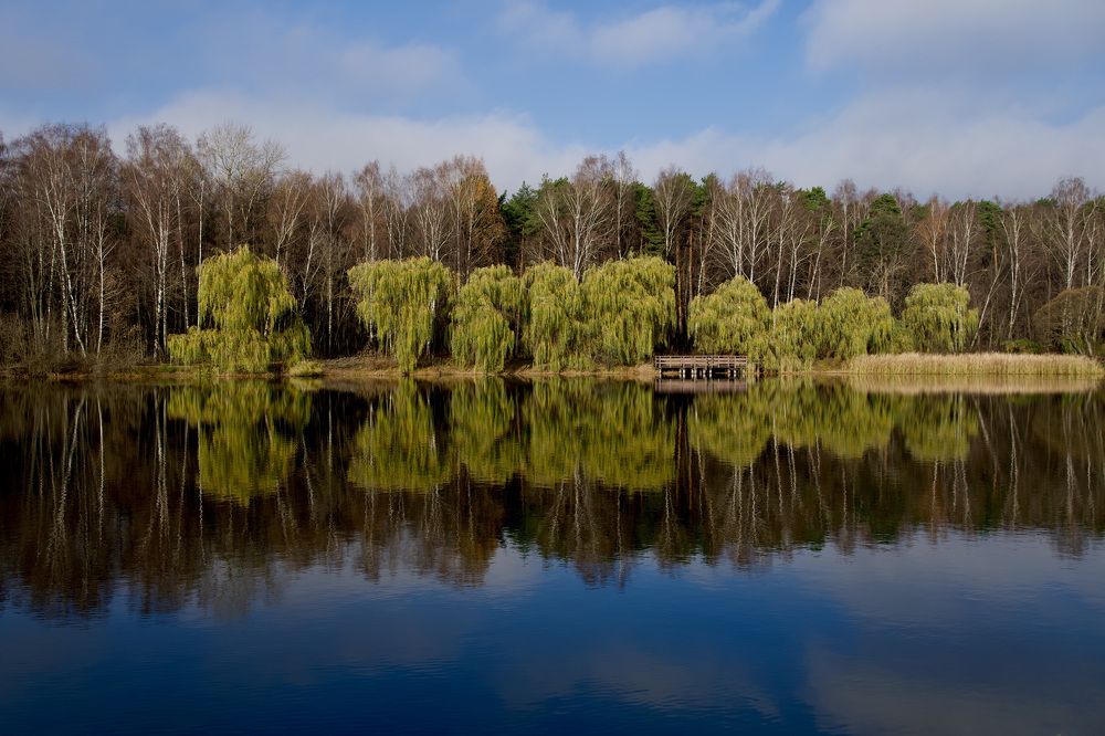 Photograph by Алексей Шевченко