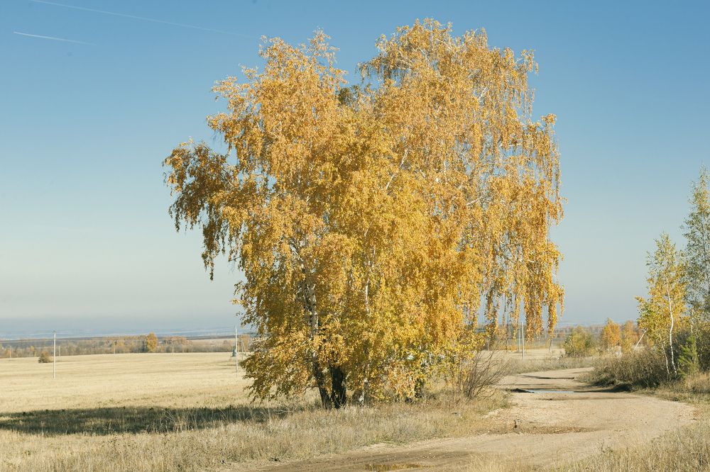 Фотография автора Рамиль Фаттахов