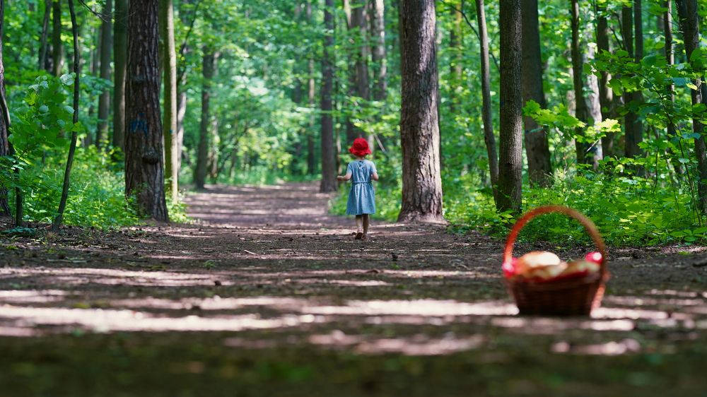 Photograph by Алексей Шевченко