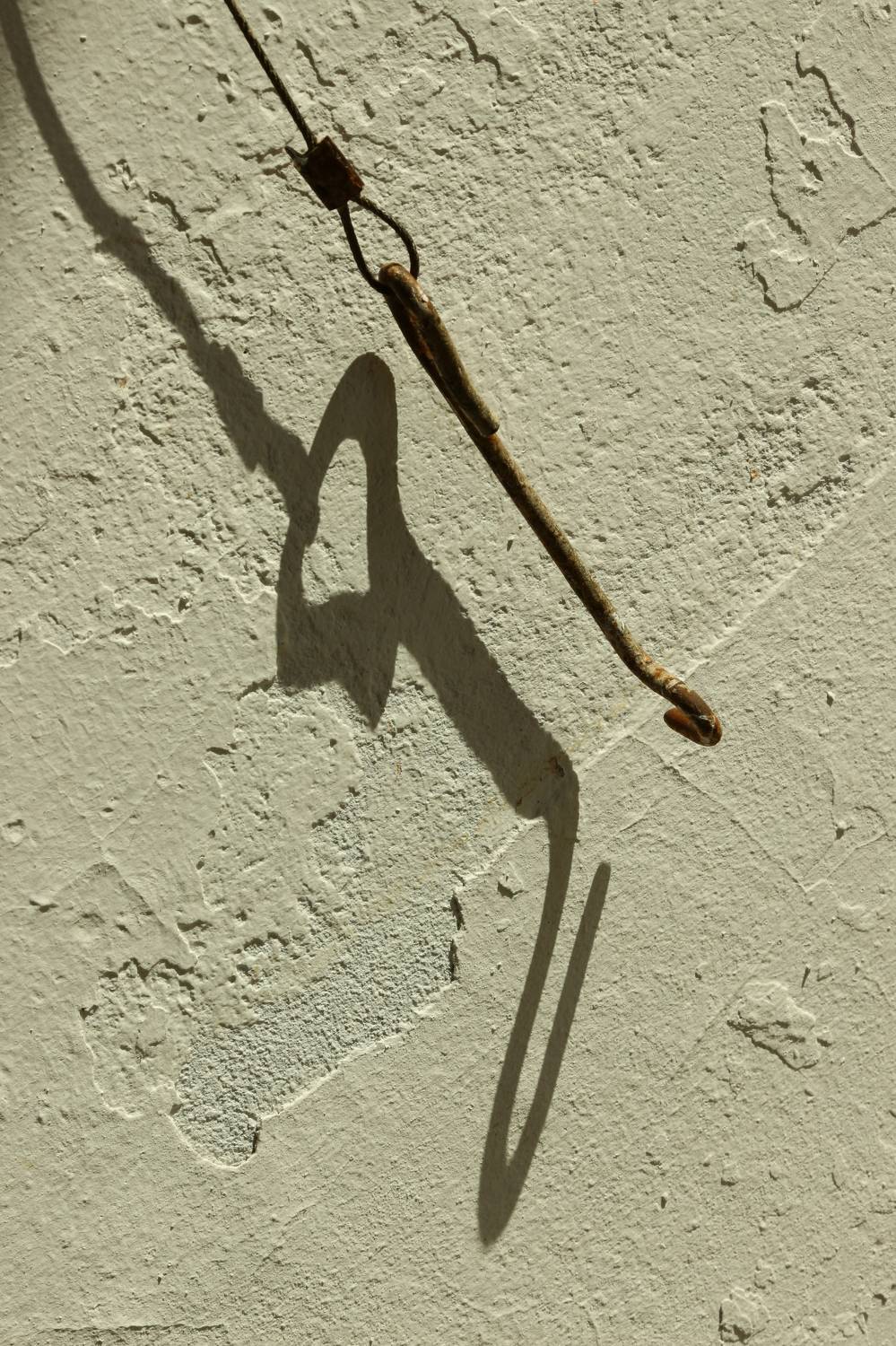 Фотография #6827332