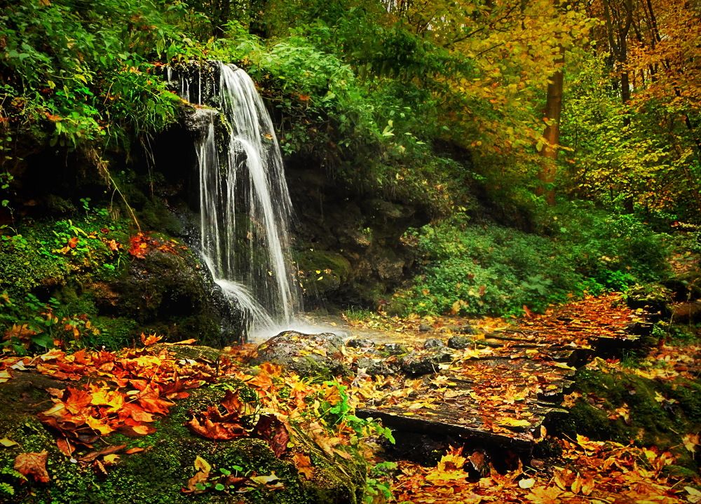 Photograph by Андрей Михайлин