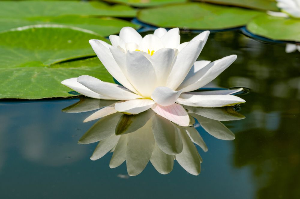 Photograph by Владимир Белобаба