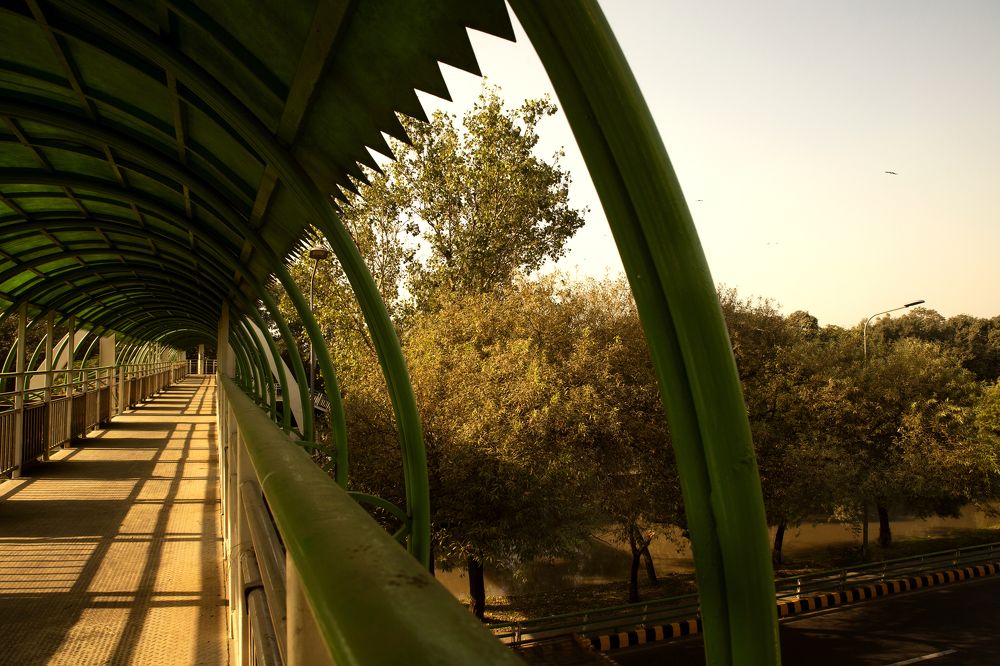 Фотография автора ZEB UN NISA