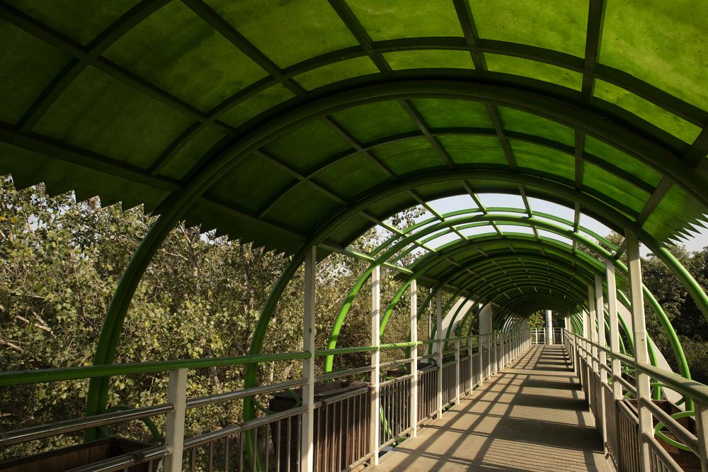 Фотография автора ZEB UN NISA