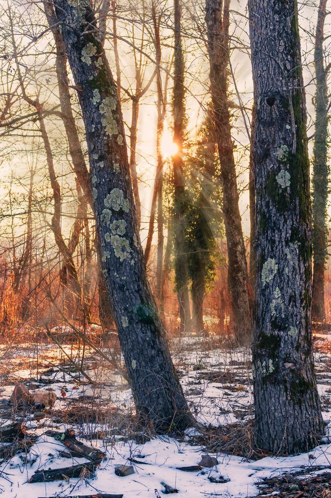 Photograph by Виталий Шкадинов