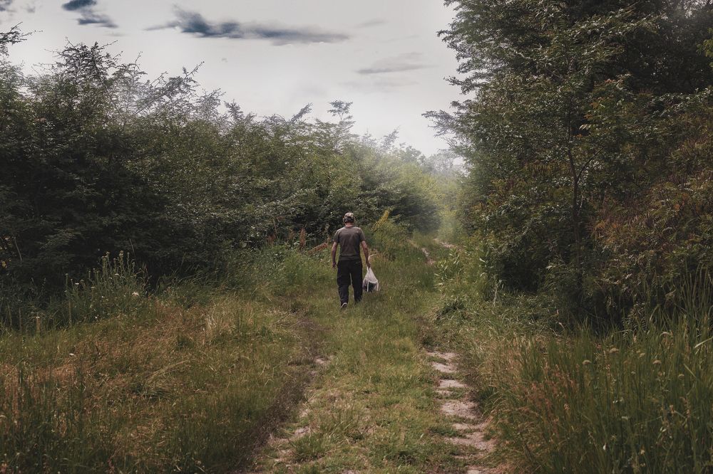 Photograph by Виталий Шкадинов