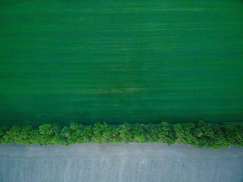 Photograph by Lonely_black_Cat