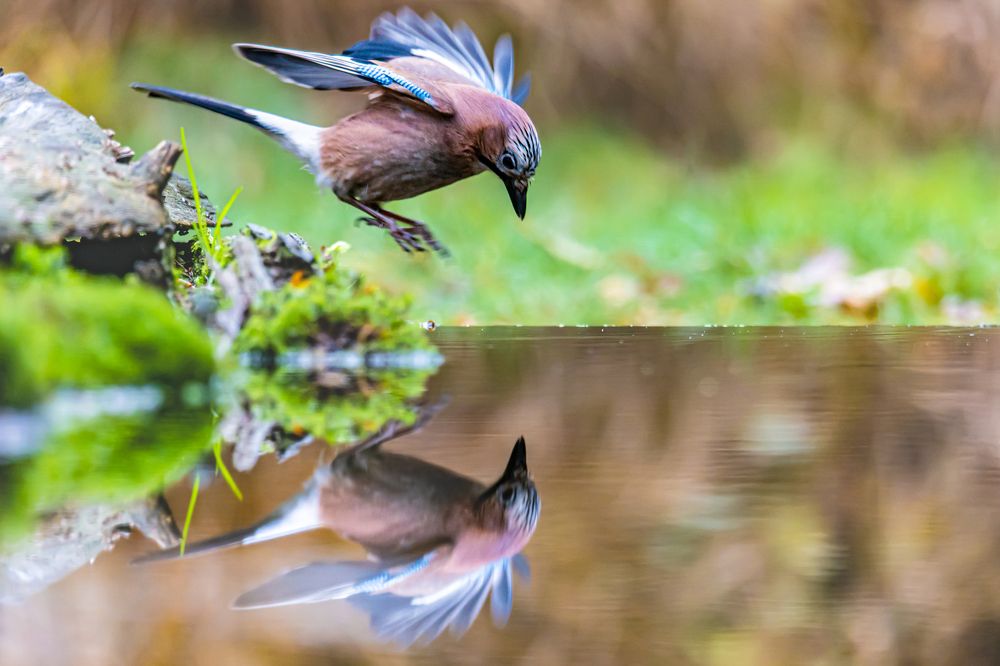 Photograph by Ellen Lichtenheldt