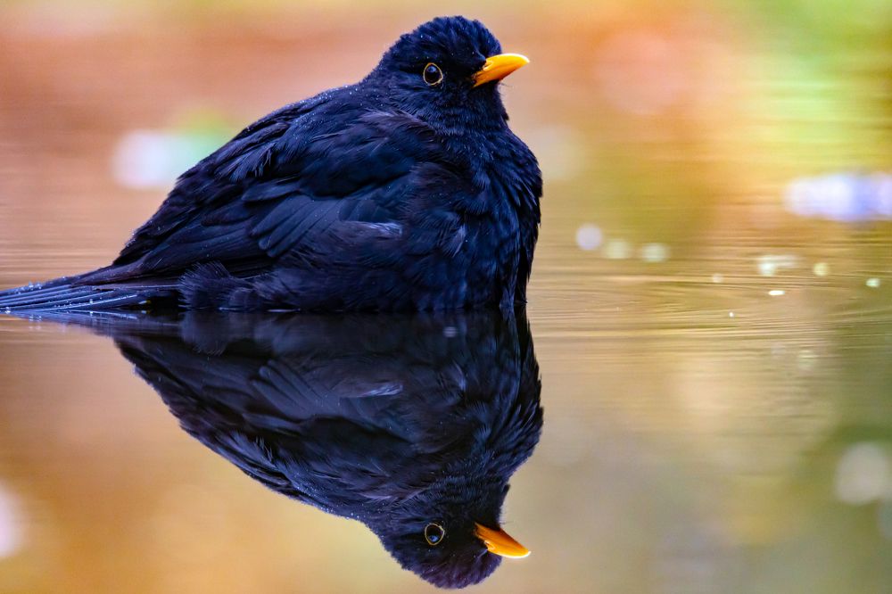 Photograph by Ellen Lichtenheldt