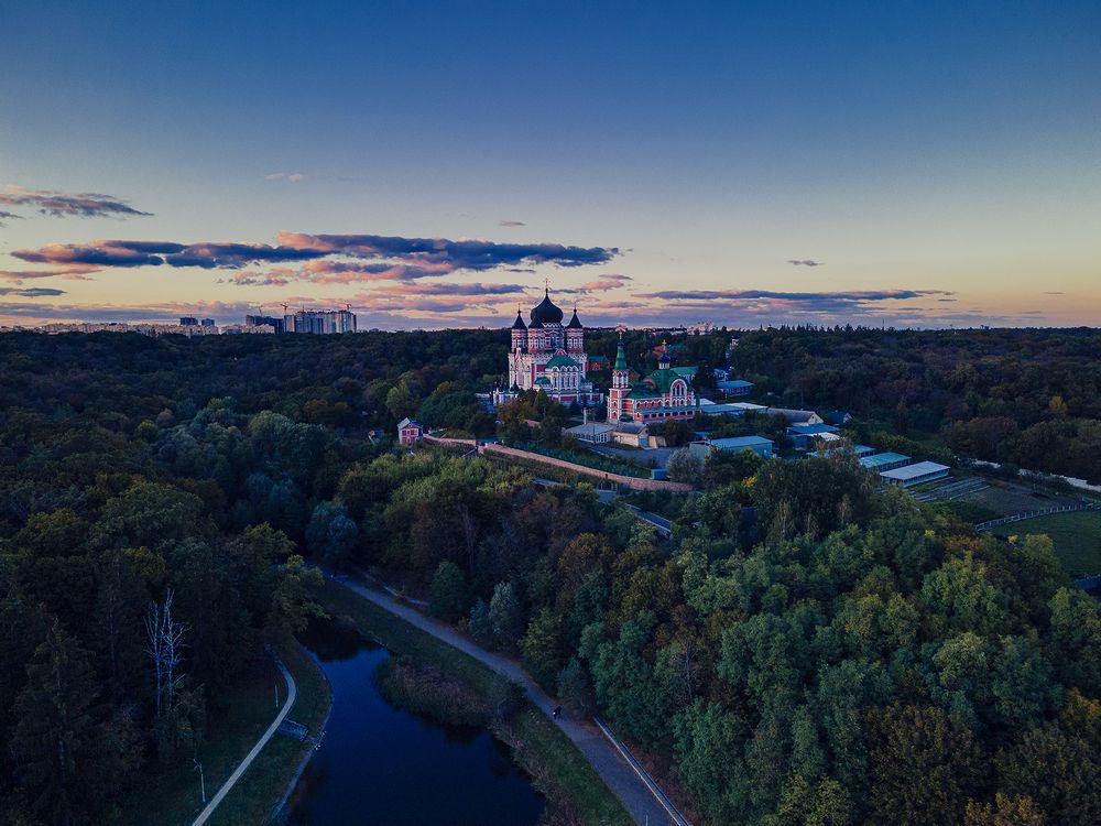 Photograph by Lonely_black_Cat