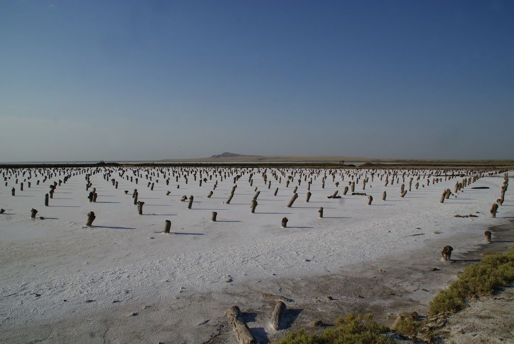 Photograph by Надежда