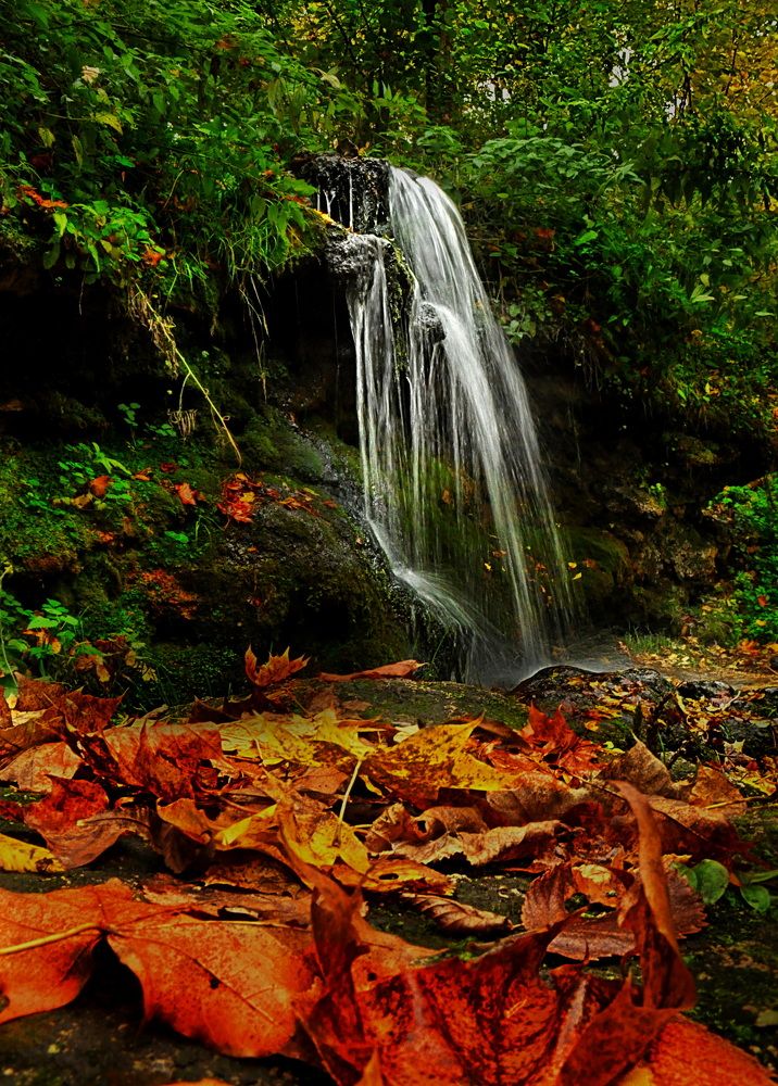 Photograph by Андрей Михайлин