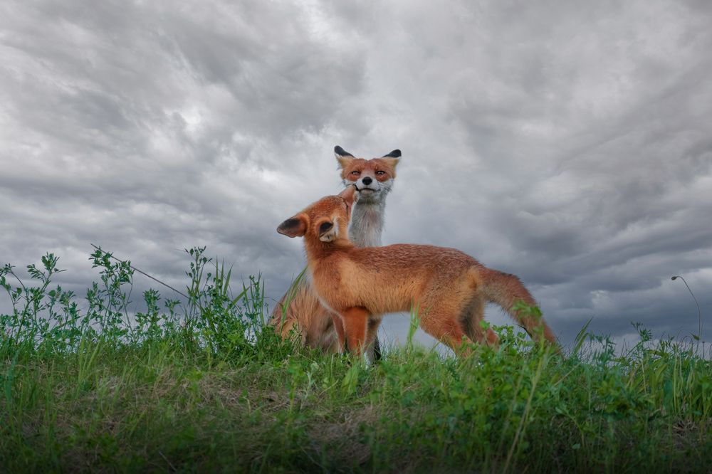 Фотография автора Pavel Reshetov