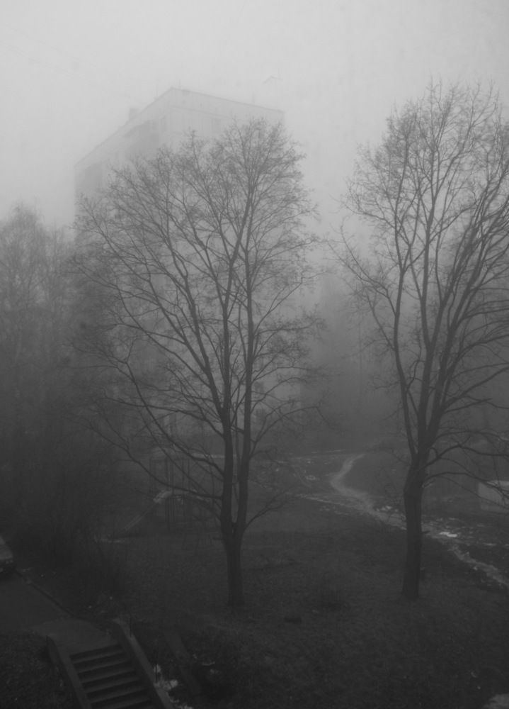 Photograph by Андрей Михайлин