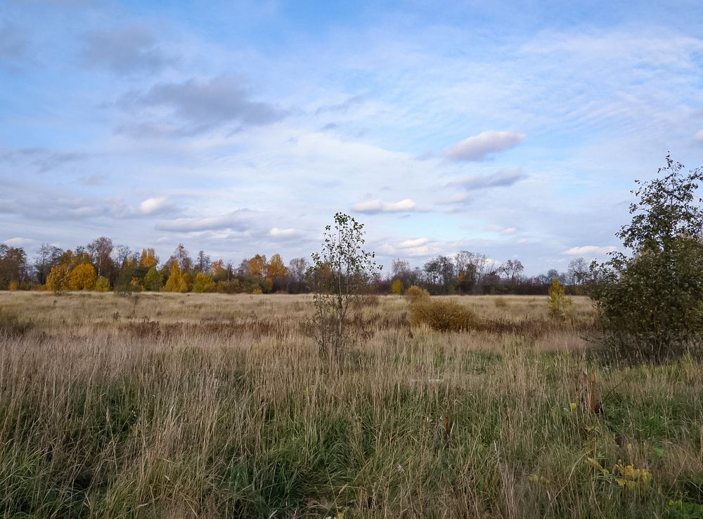 Photograph by Анастасия Молчанова